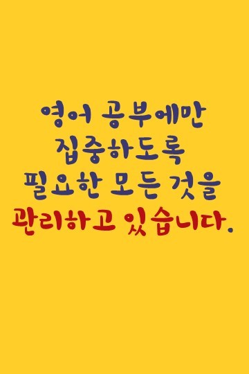 초등영어 주니어 중급영어